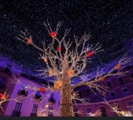 Contrada Cafaro Guest house Salerno