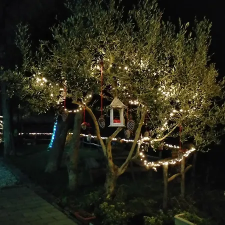 Contrada Cafaro