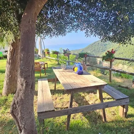 Contrada Cafaro 4*